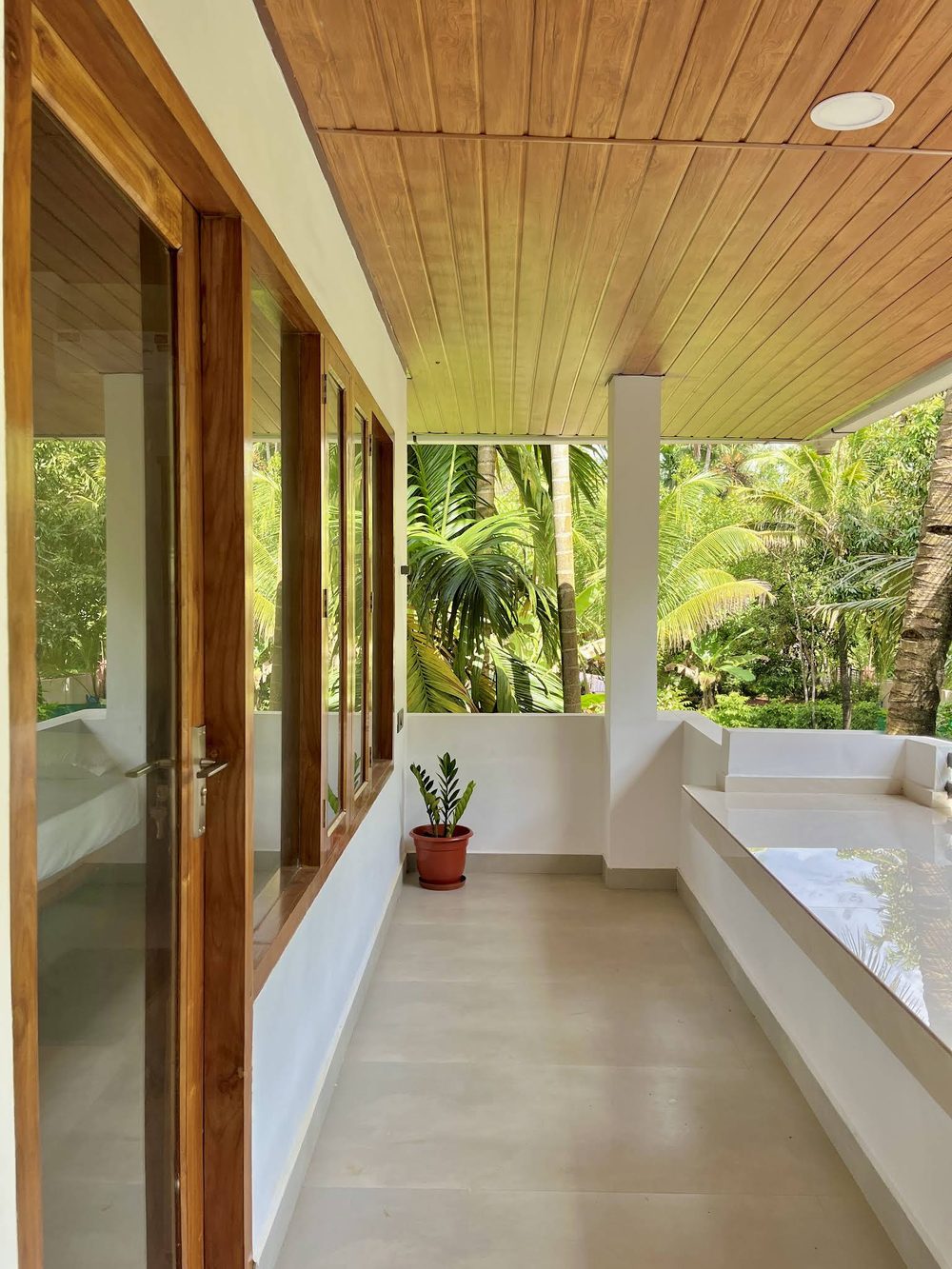 The upper verandah at Olam under a teak plank soffit, looking into the coconut and areca palm canopy