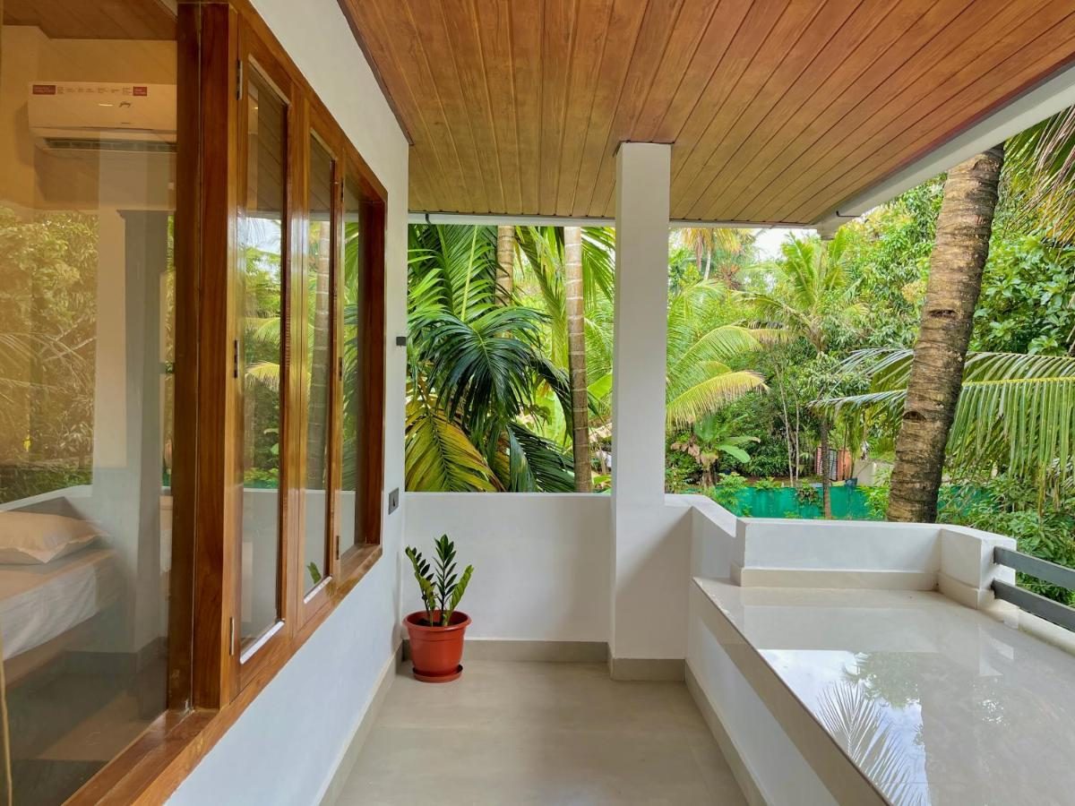 Sunlit upper verandah with coconut palm trunks rising past the white parapet