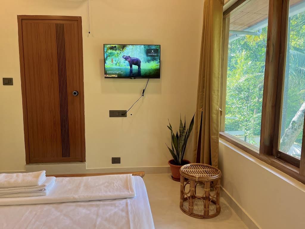 Corner of a bedroom: a fluted door, a television, a rattan stool and a curtain drawn back from a window of trees