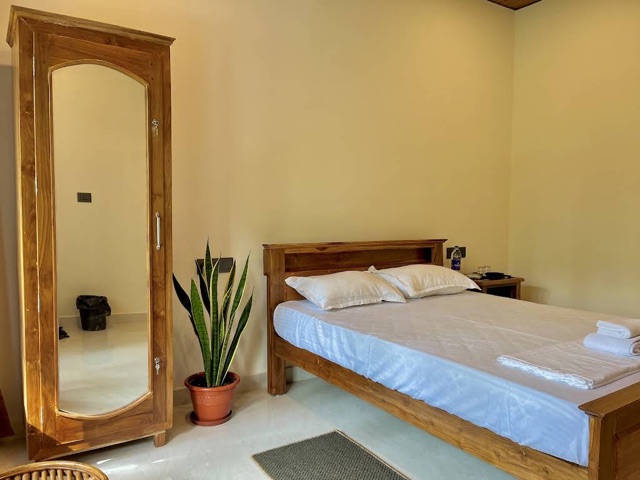 Queen bed with a carved teak headboard, tall mirrored wardrobe beside it, snake plant between the two