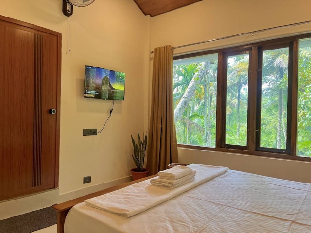 Bed with folded towels beside a wide corner window filled with palm trunks and green light