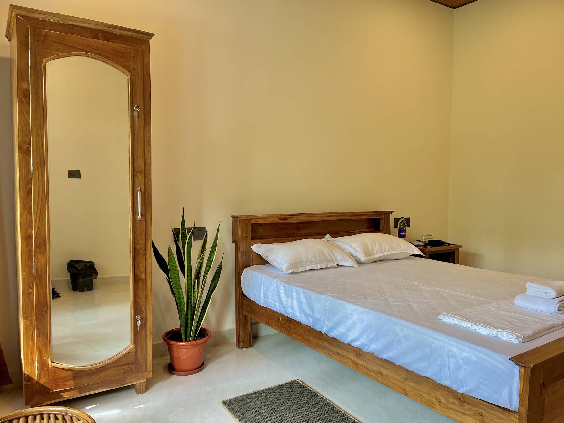 Bedroom with a mirror-front teak almirah and a snake plant in a terracotta pot